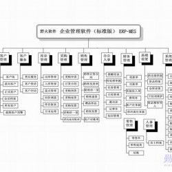 福建廈門野火軟件工作室 中小企業(yè)管理軟件開發(fā)的可靠伙伴